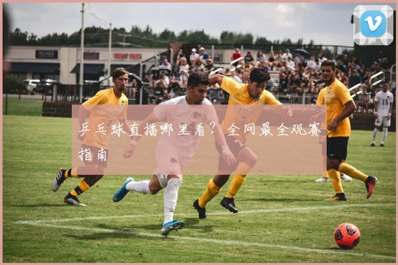 乒乓球直播哪里看？全网最全观赛指南